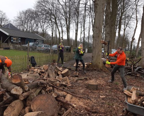 Maart 2019