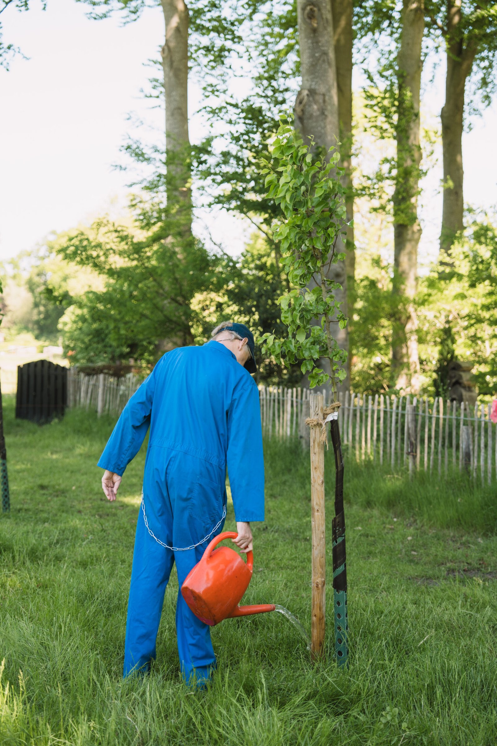 Even de plantjes water geven